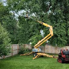How Our Tree Care Process Works  in  Bayou La Batre, AL